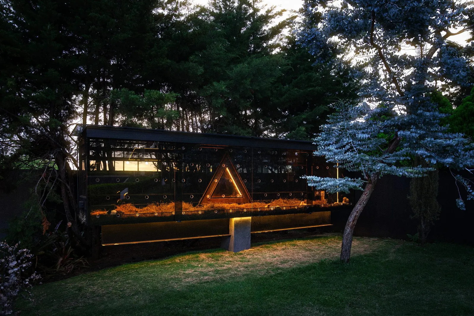 A module glowing at night beside a fire pit under the stars